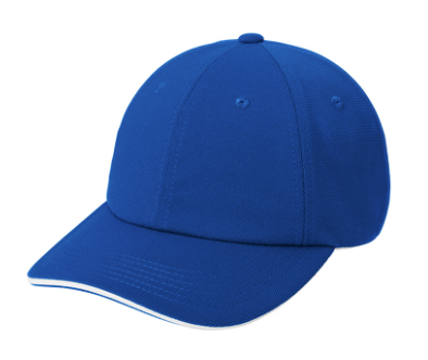 C838 Port Authority® Dry Zone® Cap