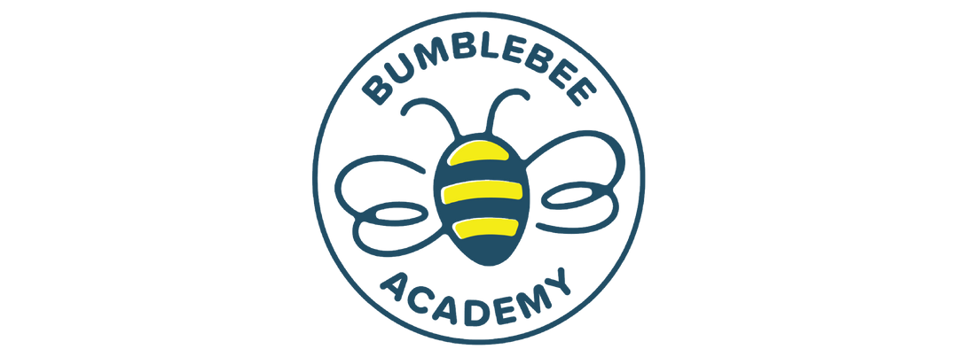 Bumblebee Academy IQR
