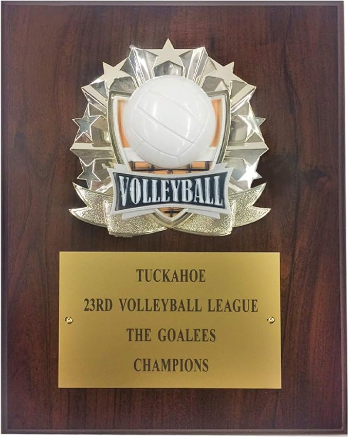 8"x10" Sport Plaque Award