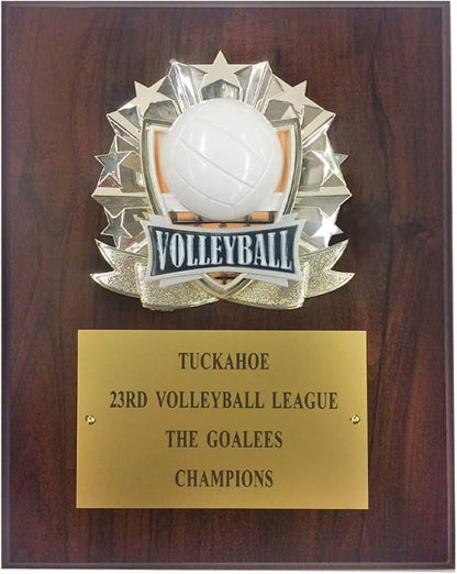 8"x10" Sport Plaque Award
