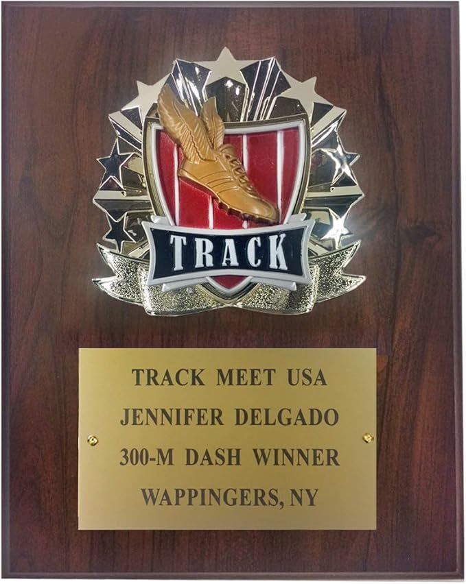8"x10" Sport Plaque Award