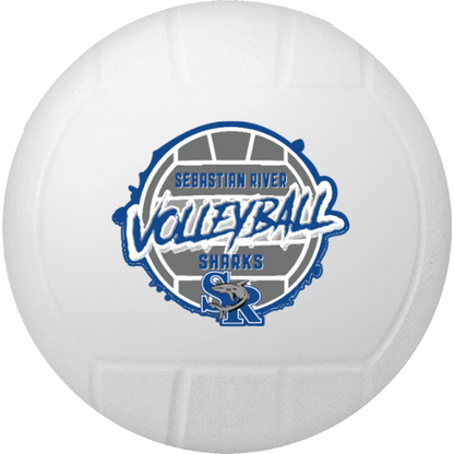 4¼" Inflatable Vinyl Volleyball