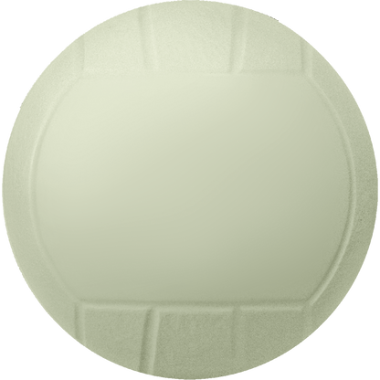 4¼" Inflatable Vinyl Volleyball