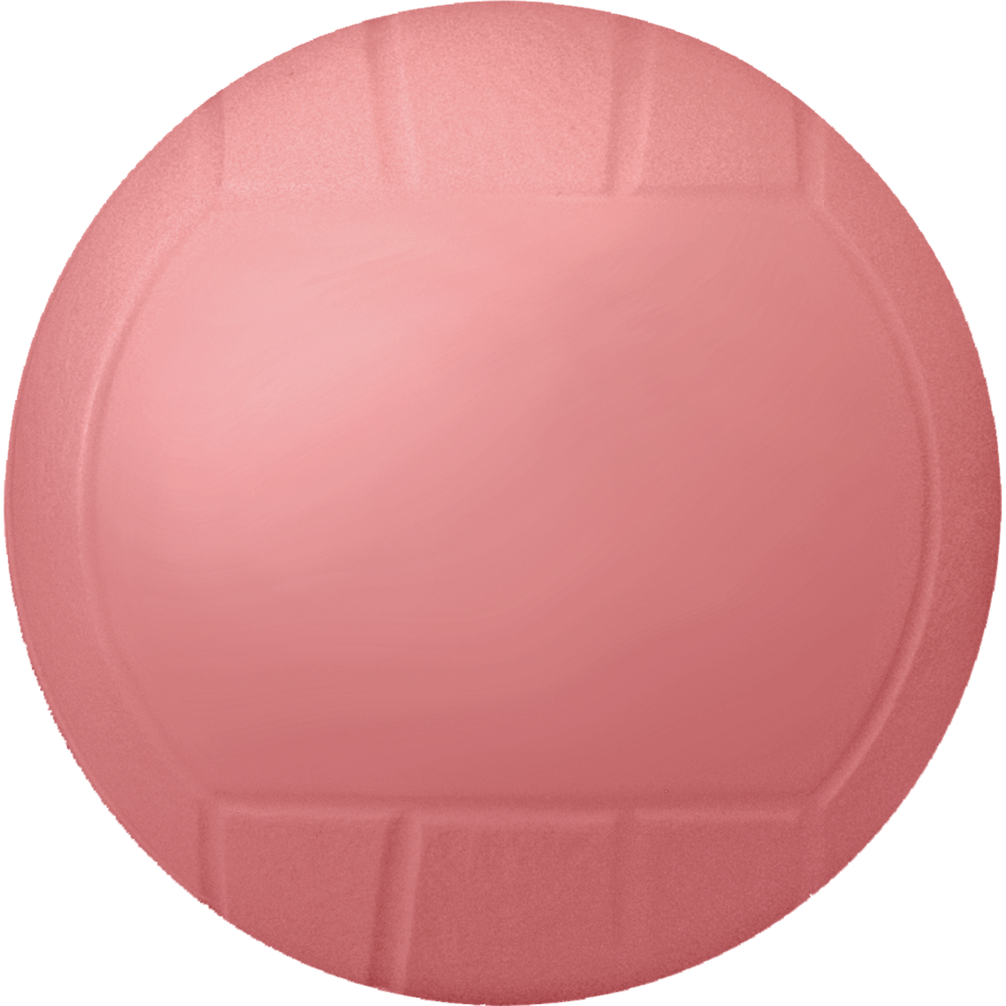 4¼" Inflatable Vinyl Volleyball