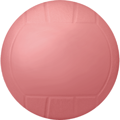 4¼" Inflatable Vinyl Volleyball